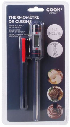 thermometre-cuisson-cook-concept-digital-de-cuisine