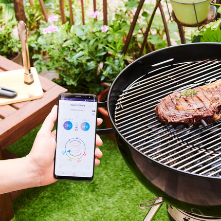 sonde-de-cuisson-mastrad-meat-it-plus-bluetooth-n