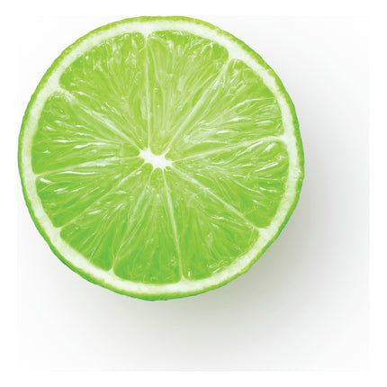 presse-agrumes-sage-appliances-the-citrus-press-pro