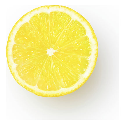 presse-agrumes-sage-appliances-the-citrus-press-pro