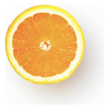 presse-agrumes-sage-appliances-the-citrus-press-pro