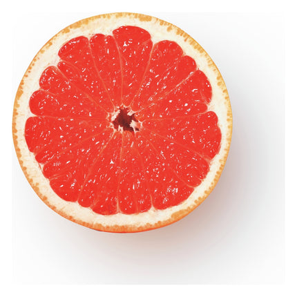presse-agrumes-sage-appliances-the-citrus-press-pro