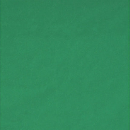 fond-vert-tnb-fond-vert
