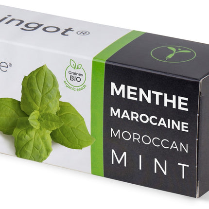 recharge-jardin-dinterieur-veritable-menthe-marocaine-bio