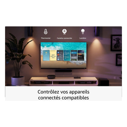 passerelle-multimedia-amazon-fire-tv-stick-4k-max-2024