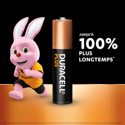 pile-duracell-plus-aaa-x24