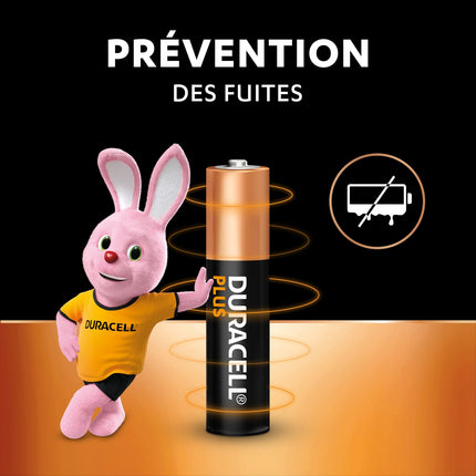 pile-duracell-plus-aaa-x24