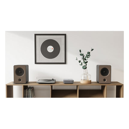 amplificateur-hifi-wiim-amp-space-grey