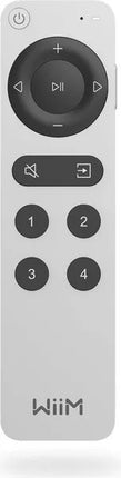 telecommande-universelle-wiim-remote-2