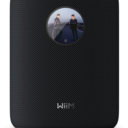 enceinte-multiroom-wiim-sound-black-with-display