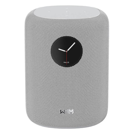 enceinte-multiroom-wiim-sound-black-with-display