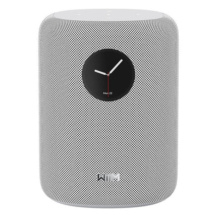 enceinte-multiroom-wiim-sound-black-with-display