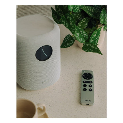 enceinte-multiroom-wiim-sound-black-with-display