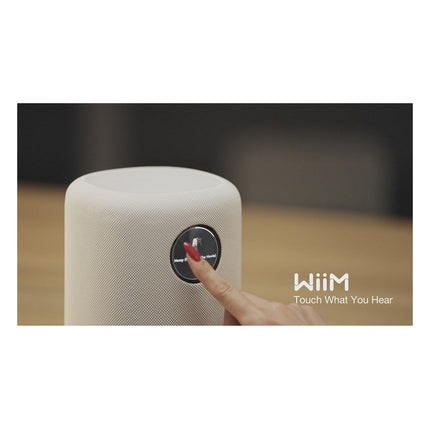 enceinte-multiroom-wiim-sound-black-with-display