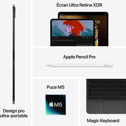 tablette-apple-ipad-pro-13-m5-256go-noir-sideral-cellular