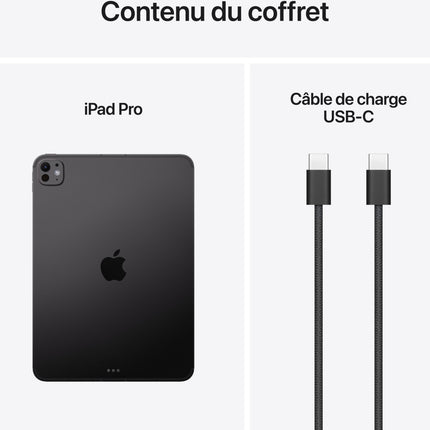 tablette-apple-ipad-pro-13-m5-256go-noir-sideral-cellular