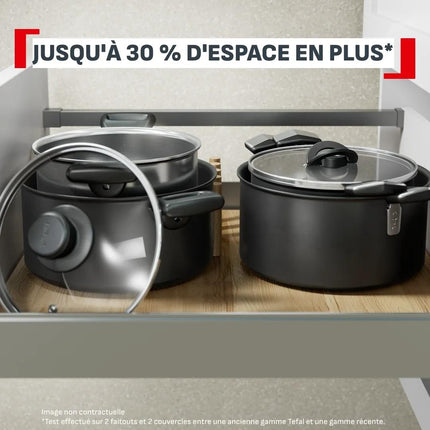 faitout-tefal-24cm-excellence-avec-couvercle