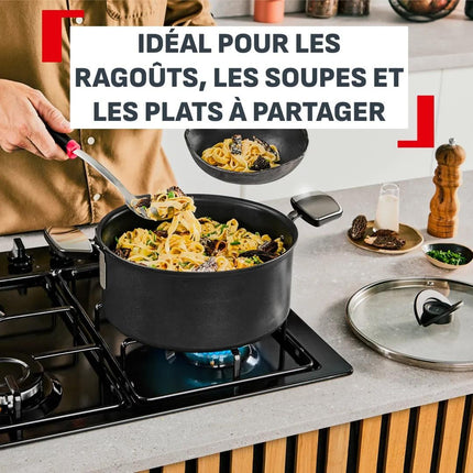 faitout-tefal-24cm-excellence-avec-couvercle