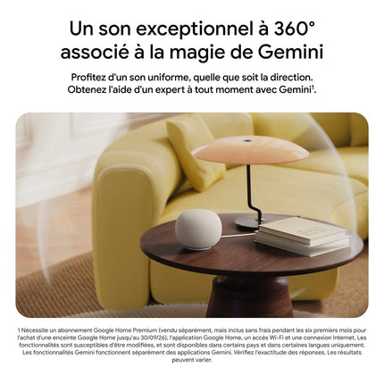 assistant-vocal-google-home-speaker-porcelaine
