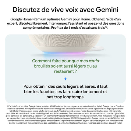 assistant-vocal-google-home-speaker-porcelaine
