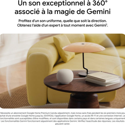 assistant-vocal-google-home-speaker-porcelaine