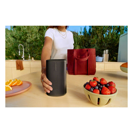 enceinte-portable-sonos-play