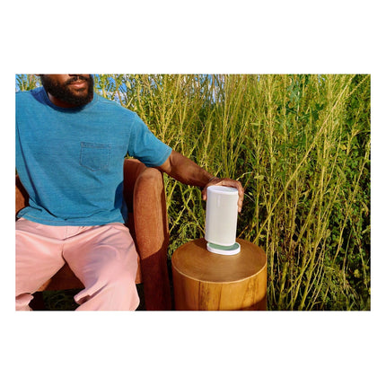 enceinte-portable-sonos-play