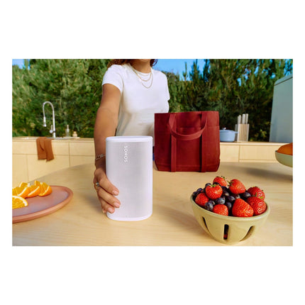 enceinte-portable-sonos-play