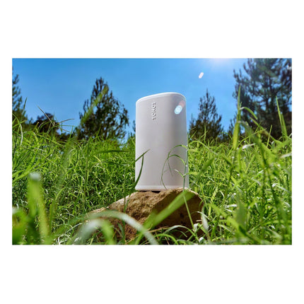 enceinte-portable-sonos-play