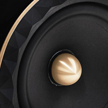 enceinte-bibliotheque-elipson-prestige-facet-8b-80e-anniversaire