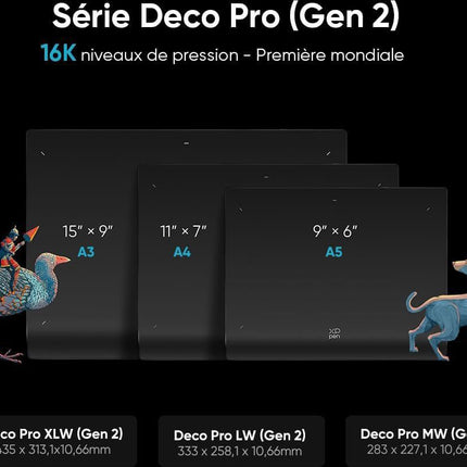 tablette-graphique-xppen-deco-pro-xlw-gen-2-ack05
