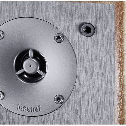 enceinte-surround-magnat-s10d-noyer