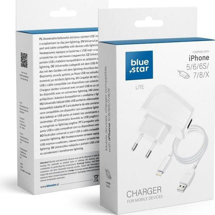 chargeur-secteur-bluestar-sortie-output-power-5w-cable