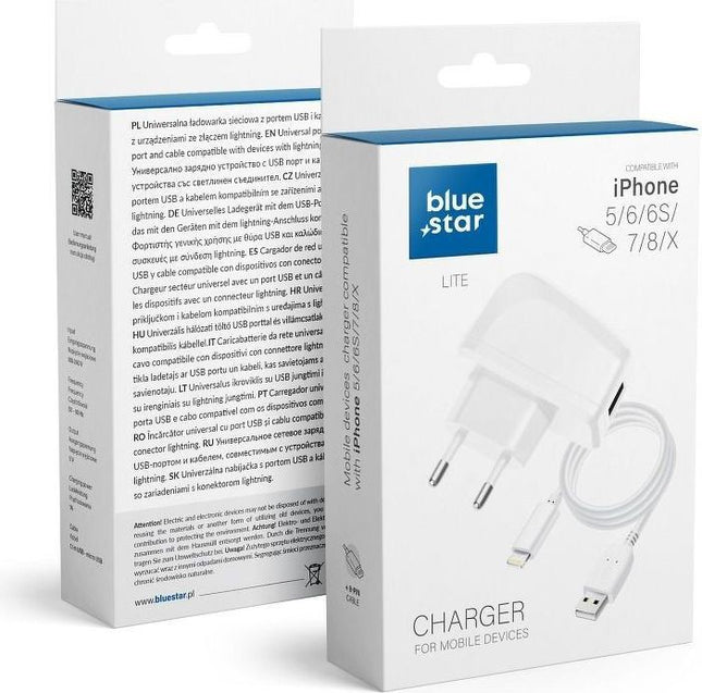 chargeur-secteur-bluestar-sortie-output-power-5w-cable
