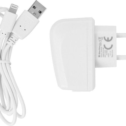 chargeur-secteur-bluestar-sortie-output-power-5w-cable