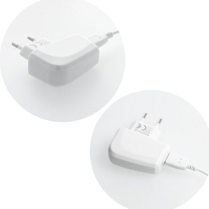 chargeur-secteur-bluestar-sortie-output-power-5w-cable