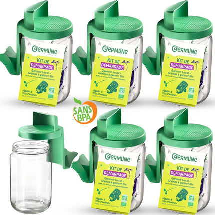 germoir-germline-germoir-en-verre-x6