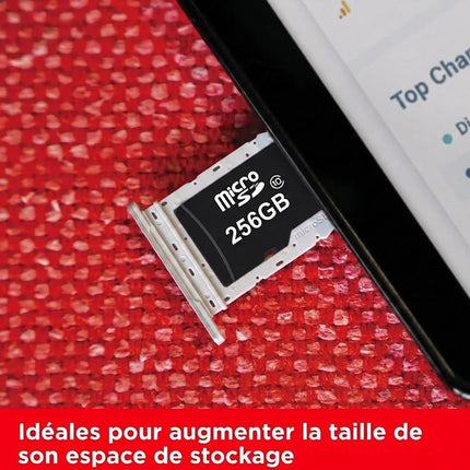 carte-micro-sd-visiodirect-carte-memoire-micro-sd-256go-sdxc-sdhc