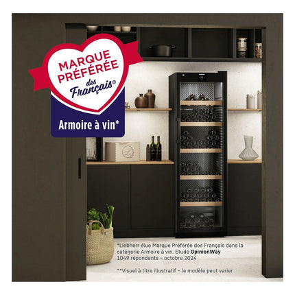 cave-a-vin-polyvalente-liebherr-wpgbi7473