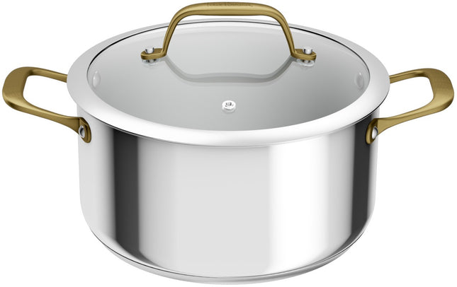 faitout-tefal-24cm-edition-bocuse