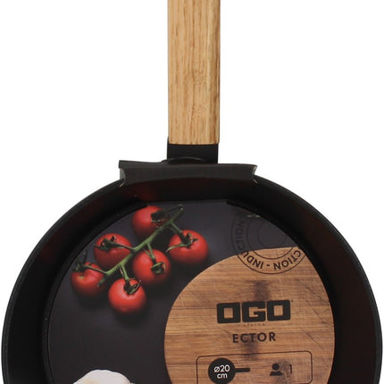 poele-ogo-living-ector