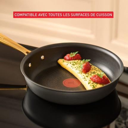 poele-tefal-24cm-bocuse-edition
