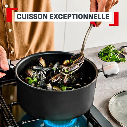 casserole-tefal-16cm-excellence
