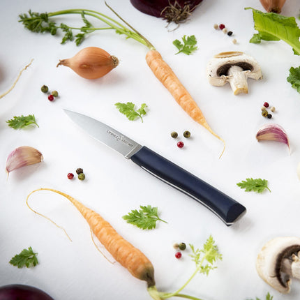 couteau-opinel-trio-intempora-no218