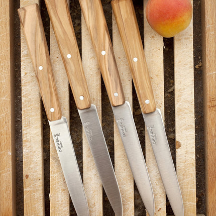 couteau-opinel-bon-appetit-sud-4-couteaux-de-table