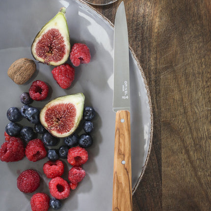 couteau-opinel-bon-appetit-sud-4-couteaux-de-table