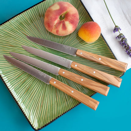 couteau-opinel-bon-appetit-sud-4-couteaux-de-table