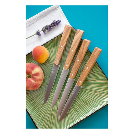 couteau-opinel-bon-appetit-sud-4-couteaux-de-table