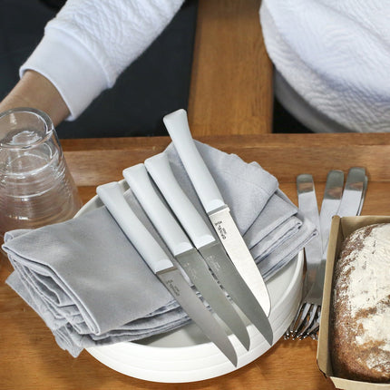 couteau-a-steak-opinel-bon-appetit-nuage-4-couteaux-de-table