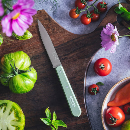couteau-opinel-crante-n113-sauge